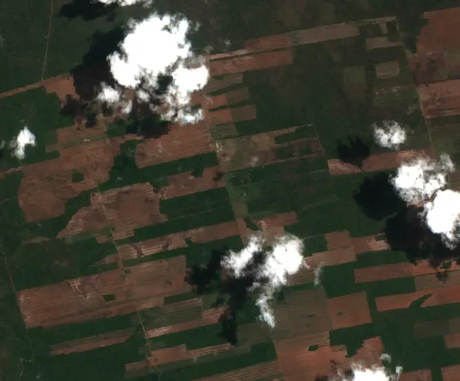 After — Municipio Concepción (Sentinel-2, 2026-10-08)