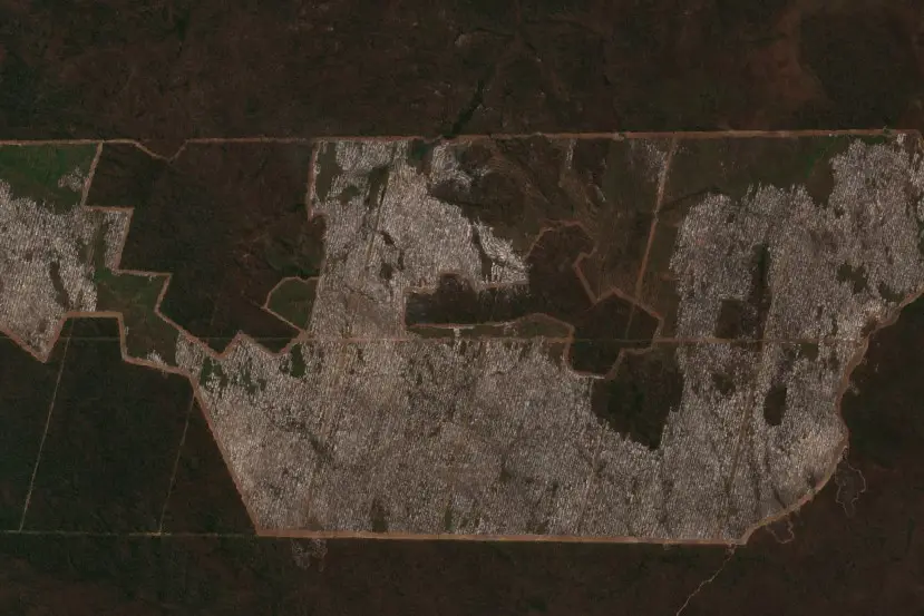 After — Municipio San Matías (Sentinel-2, 2026-09-02)