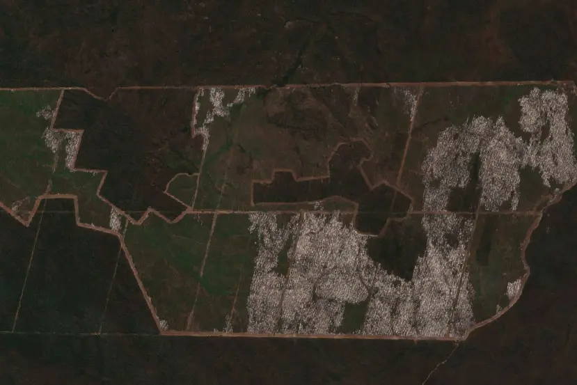 Before — Municipio San Matías (Sentinel-2, 2026-08-26)