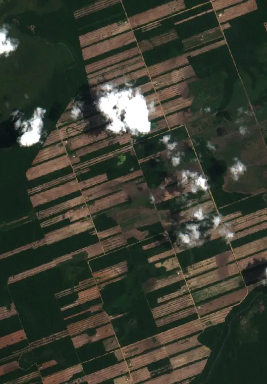 Después —  (Sentinel-2, 2026-10-21)
