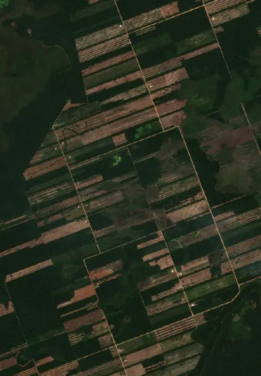 Antes —  (Sentinel-2, 2026-09-16)