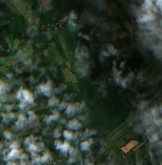 Después — Municipio San Buenaventura (Sentinel-2, 2026-09-19)