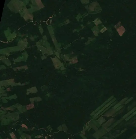 Antes — Municipio San Buenaventura (Sentinel-2, 2026-09-04)