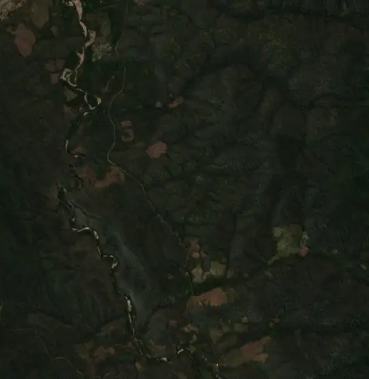 Antes — Municipio Apolo (Sentinel-2, 2026-08-28)