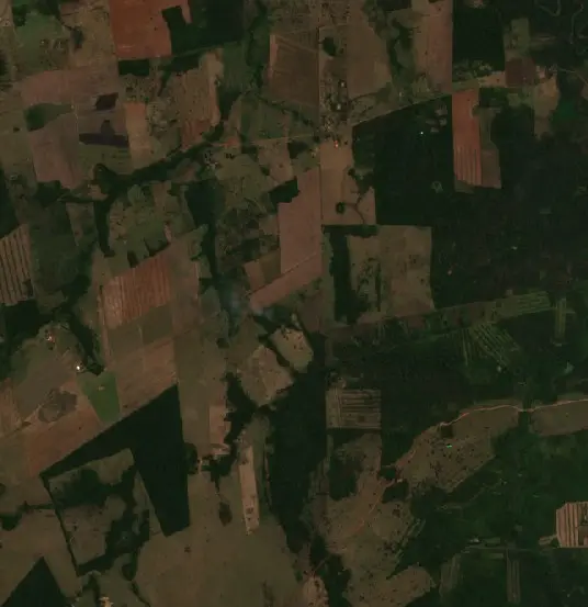 Después — Municipio Ascención de Guarayos (Sentinel-2, 2026-09-16)