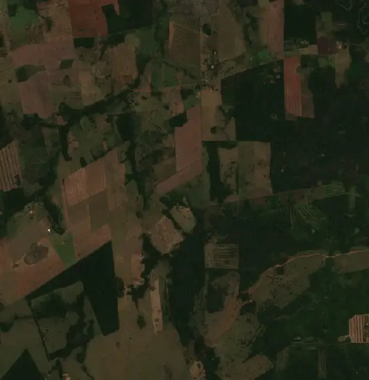 Antes — Municipio Ascención de Guarayos (Sentinel-2, 2026-09-08)