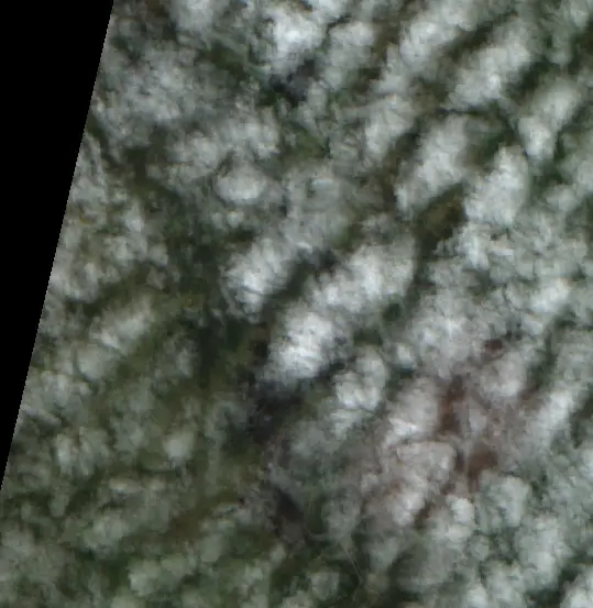 After —  (Sentinel-2, 2026-09-16)