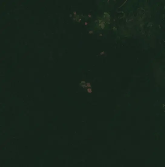 Antes — Reyes (Sentinel-2, 2026-09-24)