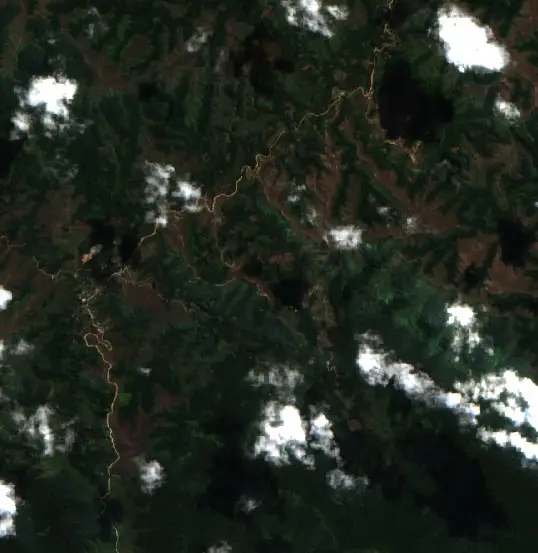 Antes — Municipio Apolo (Sentinel-2, 2026-08-08)