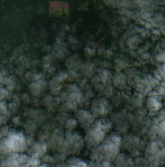 Después — Municipio Santa Rosa del Abuná (Sentinel-2, 2026-09-17)