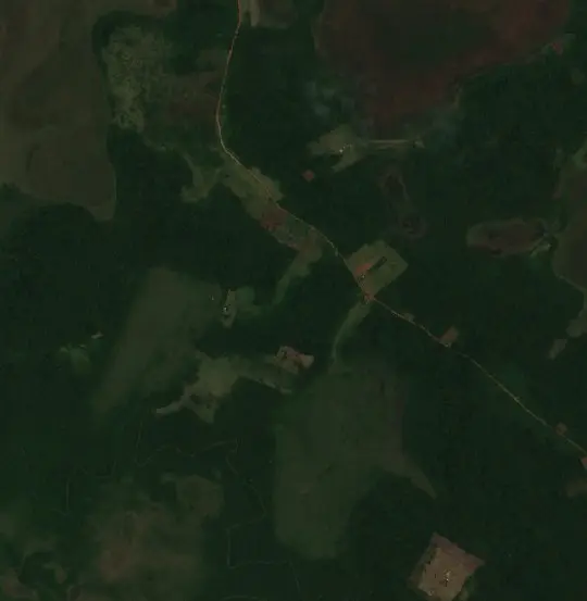 After — Municipio Baures (Sentinel-2, 2026-10-18)