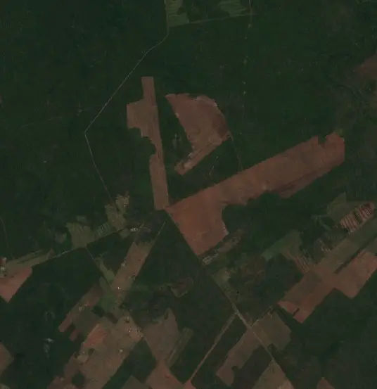 After — Municipio Concepción (Sentinel-2, 2026-10-08)
