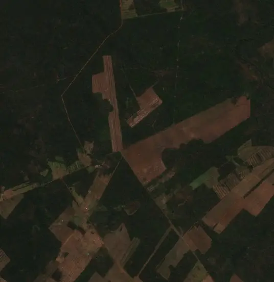 Before — Municipio Concepción (Sentinel-2, 2026-08-26)