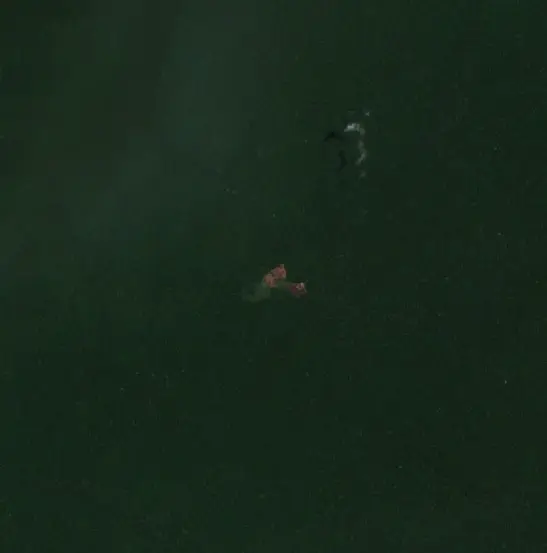 Después — Municipio Ingavi (Sentinel-2, 2026-10-14)