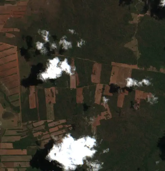 Después — Municipio San Ignacio de Velasco (Sentinel-2, 2026-10-03)