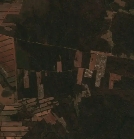 Antes — Municipio San Ignacio de Velasco (Sentinel-2, 2026-08-26)