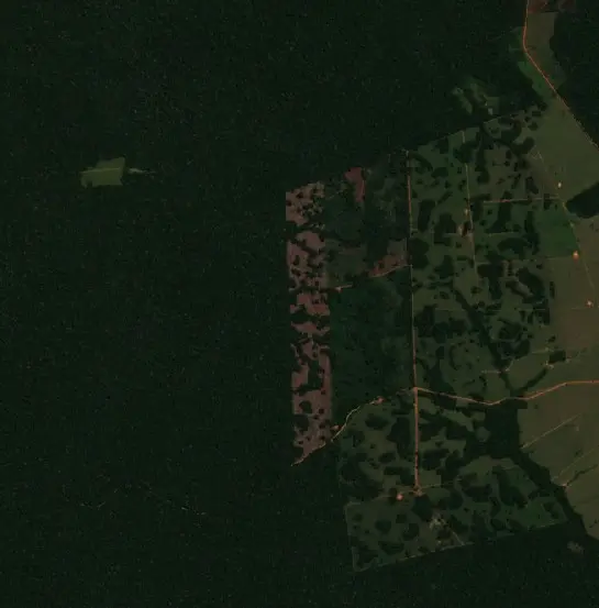 Antes — Municipio Filadelfia (Sentinel-2, 2026-08-28)