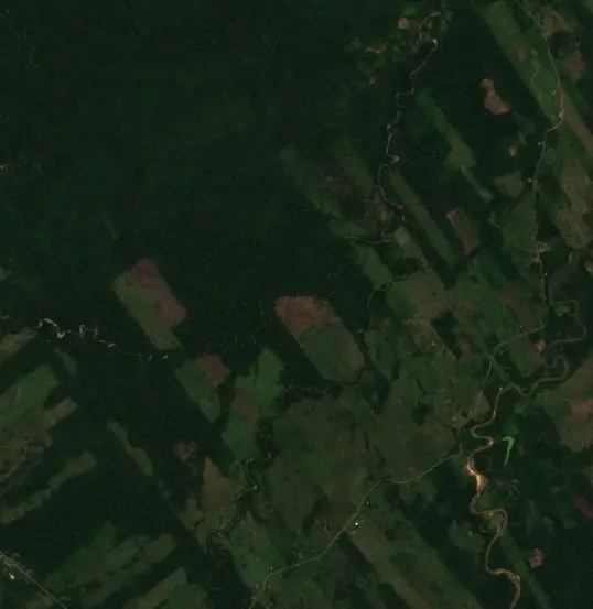 Antes — San Borja (Sentinel-2, 2026-09-04)