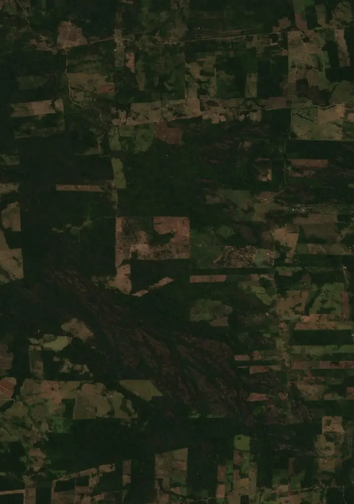 Antes — Municipio Ascención de Guarayos (Sentinel-2, 2026-09-16)