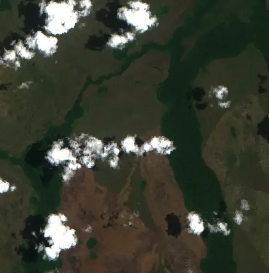 Después — Municipio Exaltación (Sentinel-2, 2026-10-19)