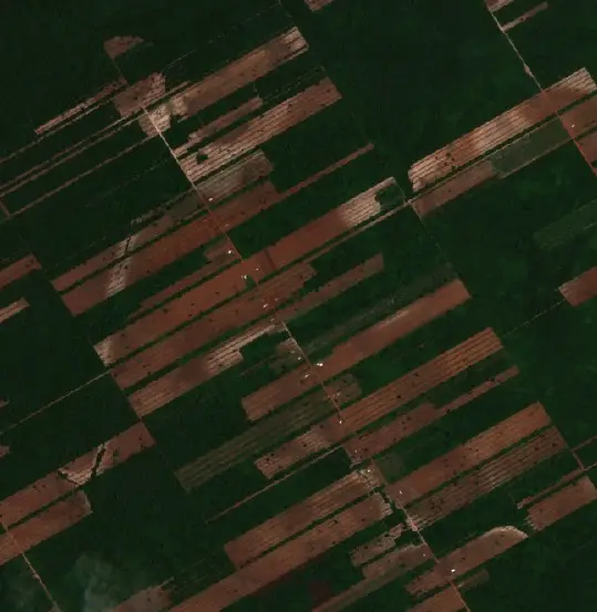 Después — Municipio Urubichá (Sentinel-2, 2026-10-18)