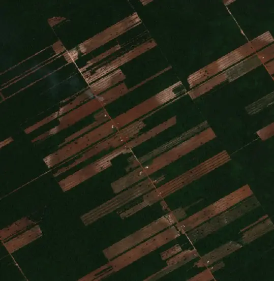 Antes — Municipio Urubichá (Sentinel-2, 2026-09-16)