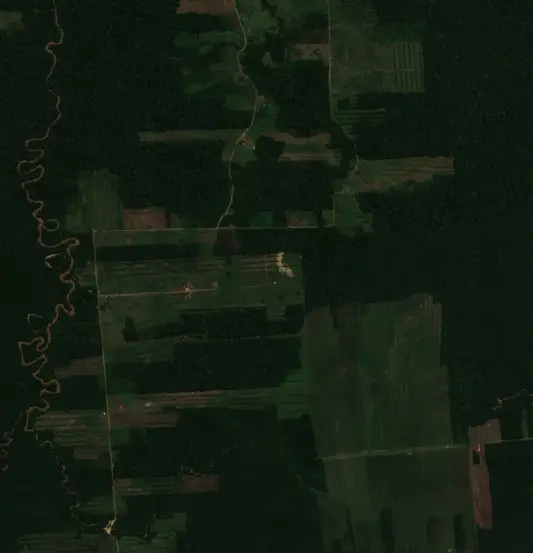 Antes —  (Sentinel-2, 2026-08-12)