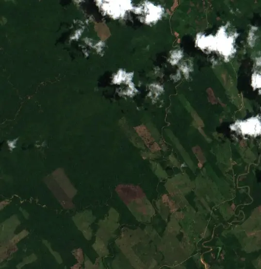 Después — San Borja (Sentinel-2, 2026-10-21)