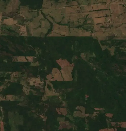 Después — Municipio Ascención de Guarayos (Sentinel-2, 2026-09-25)