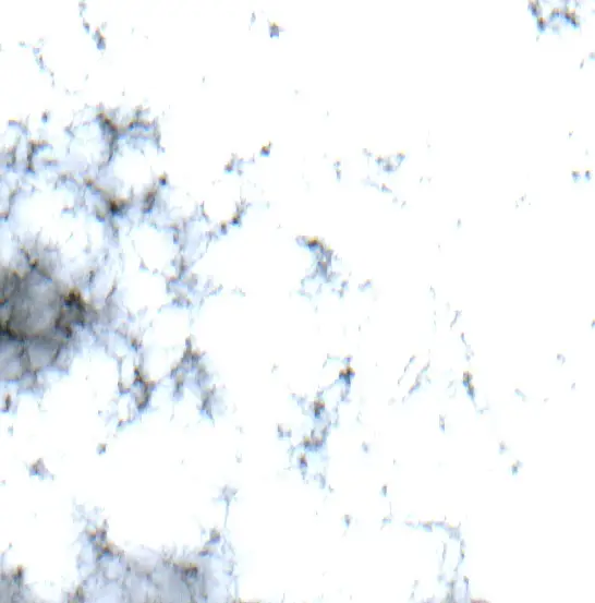 After — Riberalta (Sentinel-2, 2026-10-21)