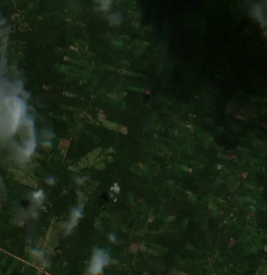 Después — Municipio Palos Blancos (Sentinel-2, 2026-09-19)