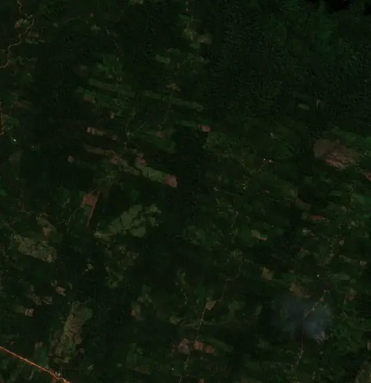 Antes — Municipio Palos Blancos (Sentinel-2, 2026-09-04)