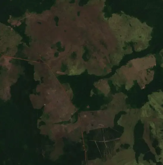 Después — Guayaramerín (Sentinel-2, 2026-10-14)