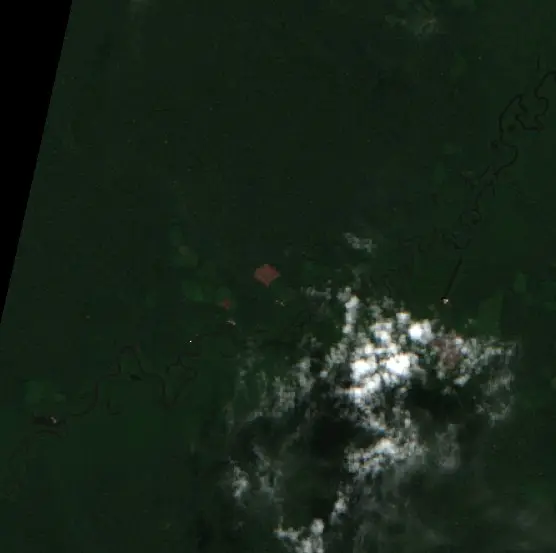 Before — Uarini (Sentinel-2, 2026-08-12)