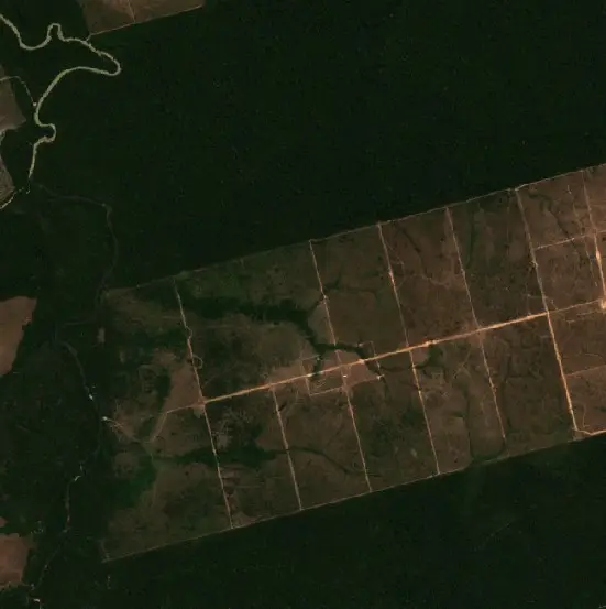 Before — Novo Progresso (Sentinel-2, 2026-08-18)