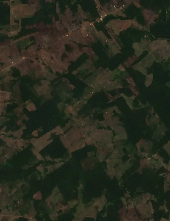 Depois —  (Sentinel-2, 2026-10-10)