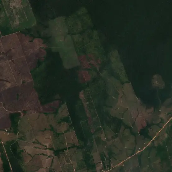 Antes —  (Sentinel-2, 2026-10-08)