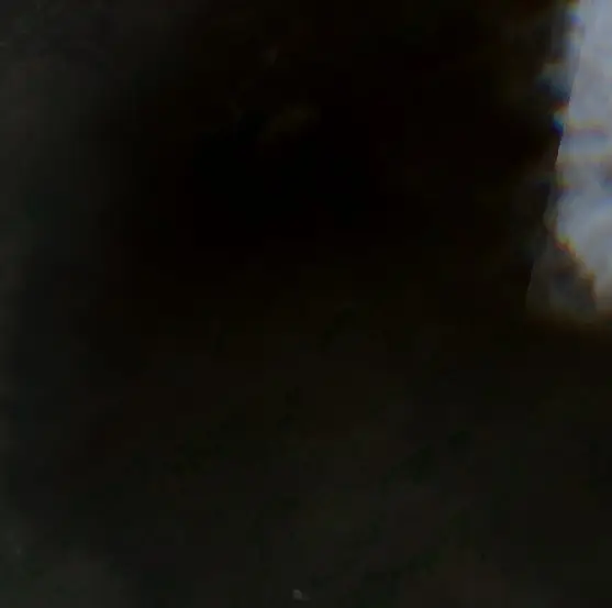 Before — Barcelos (Sentinel-2, 2026-08-20)