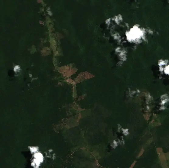 After — Alenquer (Sentinel-2, 2026-09-07)