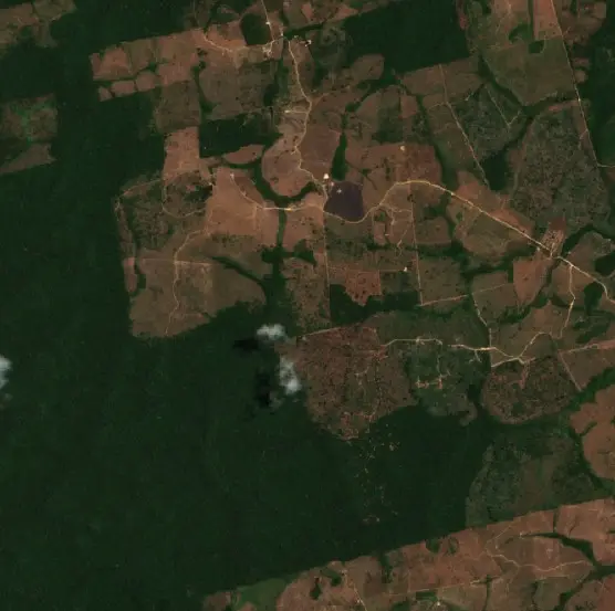 Before — Pacajá (Sentinel-2, 2026-09-21)