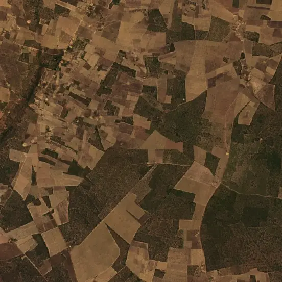 Before —  (Sentinel-2, 2026-08-22)