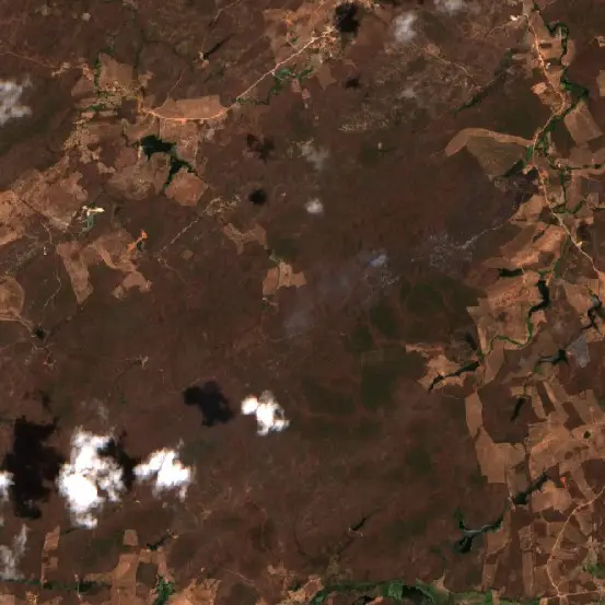 Depois — Caipu (Sentinel-2, 2026-10-19)