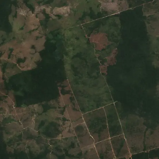 After — Altamira (Sentinel-2, 2026-09-12)