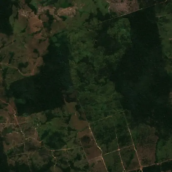 Before — Altamira (Sentinel-2, 2026-08-03)