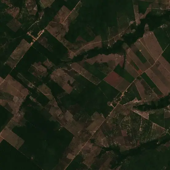 Before — Aragominas (Sentinel-2, 2026-08-17)