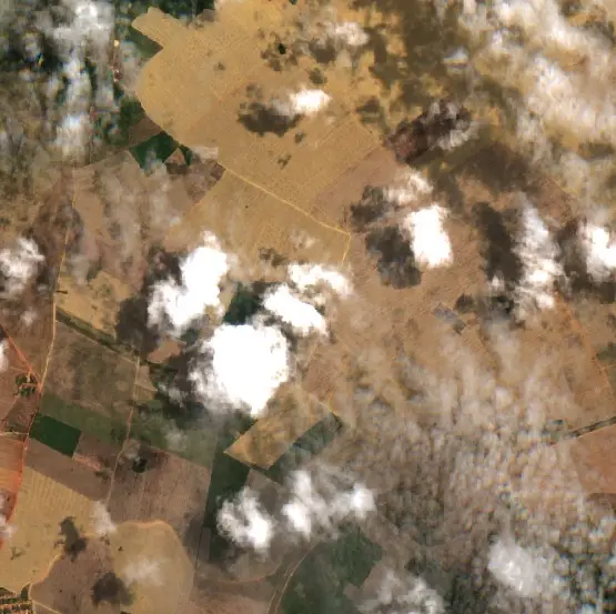 After —  (Sentinel-2, 2026-09-08)