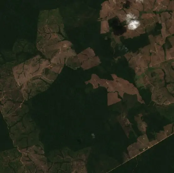 Antes — Bom Jesus do Tocantins (Sentinel-2, 2026-09-03)