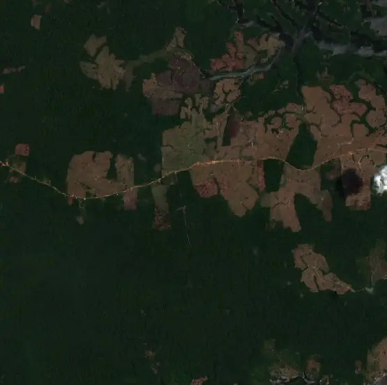 After —  (Sentinel-2, 2026-09-21)