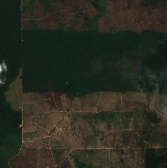 After —  (Sentinel-2, 2026-09-08)