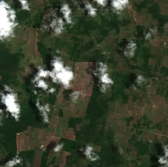After — Cachoeira do Piriá (Sentinel-2, 2026-10-08)